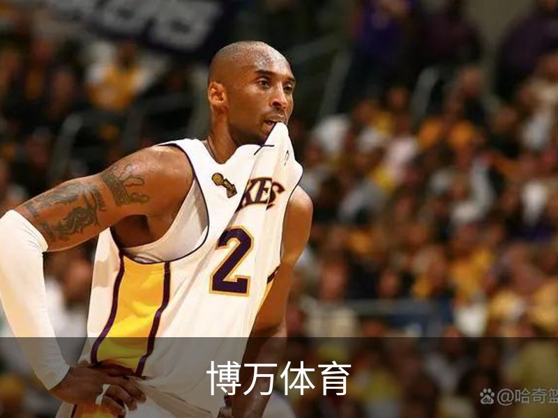 关于博万体育